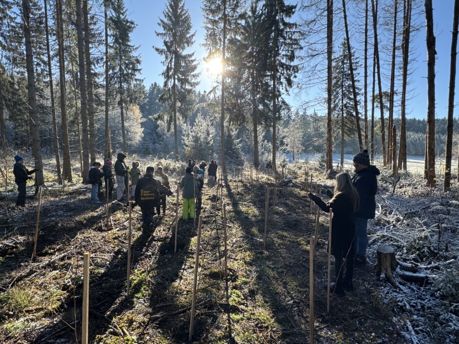 1.000 Bäume für das Wittmannstal