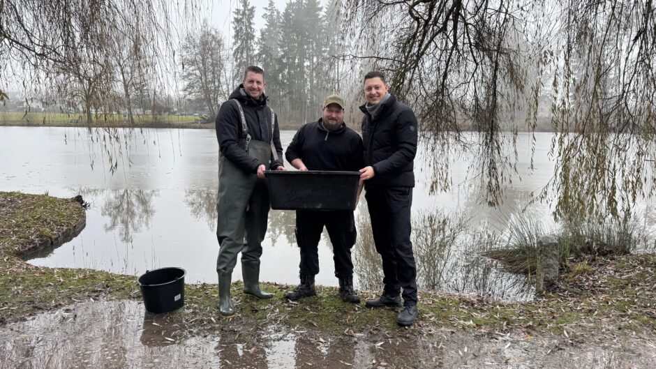 Fischbestand im Salinensee wird aufgestockt