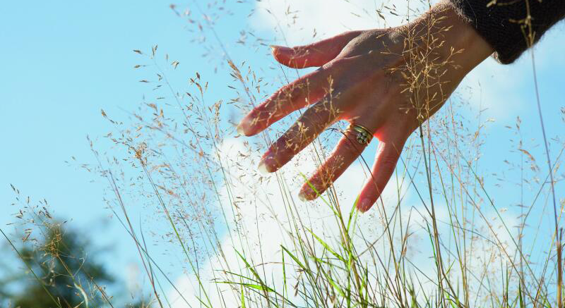 Nachhaltige Geldanlagen im Fokus – Thorsten Straub, Bereichsdirektor Private Banking gibt einen Überblick